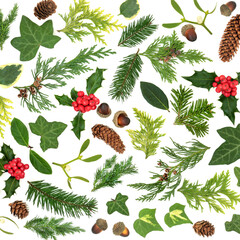 Wall Mural - Winter solstice natural greenery background on white with a collection of traditional English holly and flora. Top view flat lay.