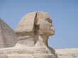 Egypt Vacation Photos - Pyramids 