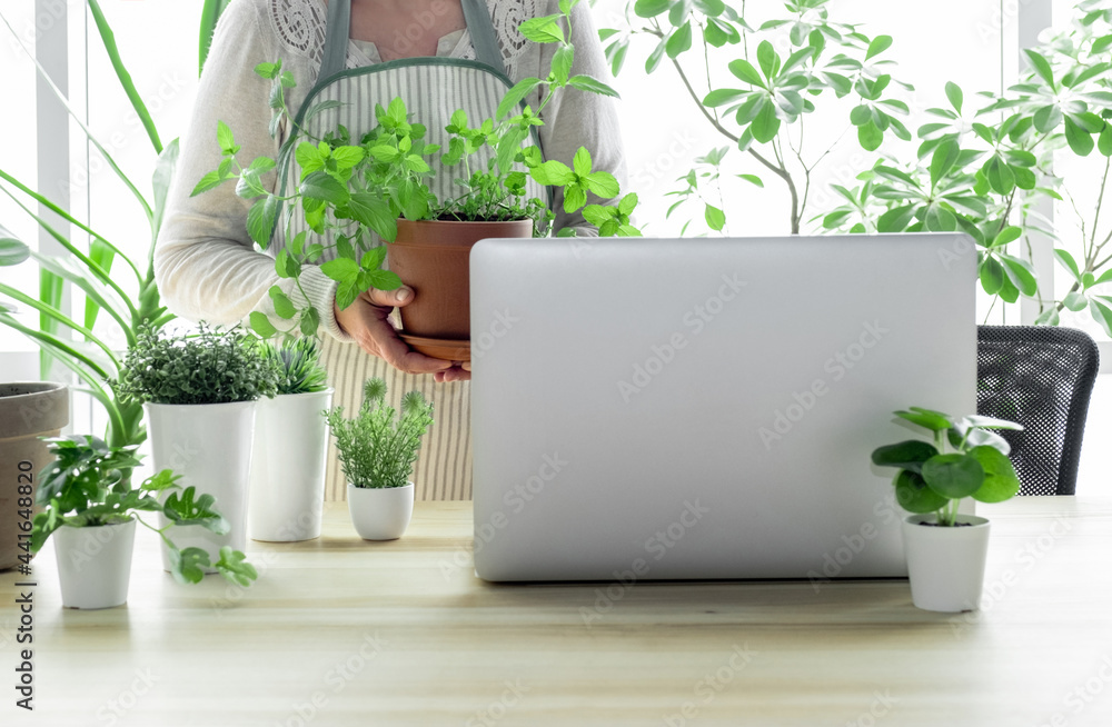 laptop woman greens plant greenhouse workplace online meeting houseplant shopping sale