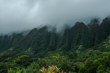 Koolau Range, Hoomaluhia Botanical Garden, Honolulu, Oahu, Hawaii. Koʻolau Range Is A Name Given To The Dormant Fragmented Remnant Of The Eastern Or Windward Shield Volcano Of  Oahu