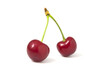 © malshak_off - Two isolated red cherries on a white background.