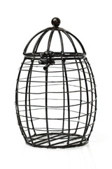 Wall Mural - Egg cage on white background