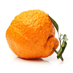 tangerine on a white