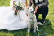 Bride with groom with their dog on their wedding day