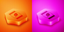 Isometric Fertilizer Bag Icon Isolated On Orange And Pink Background. Hexagon Button. Vector