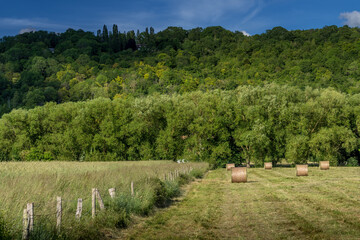 Wall Mural - Paysage campagne 960