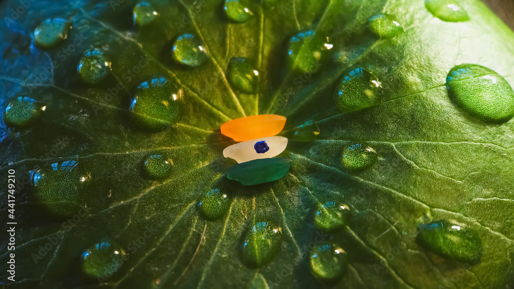 rice colored as indian flag pattern Stock Photo | Adobe Stock