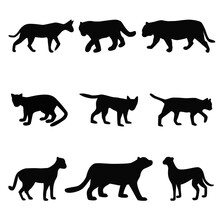 Ollection Of Cat Family Black Silhouettes, Felines Simple Shapes Set