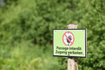 Canvas Print - Belgique Wallonie Hautes Fagnes paysage tourisme balade nature promenade environnement 