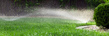 Sprinklers Watering Grass, Green Lawn In Garden