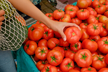 Wall Mural - Plant based diet concept. Young woman with reusable eco friendly net bag picking fresh tomatoes on farmers market. Conscious shopping for organic local vegetables. Close up, copy space, background.