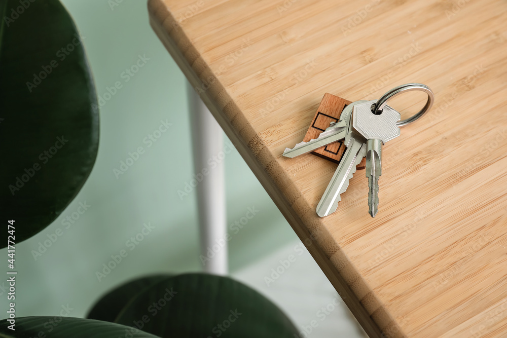 Keys on shelf in room, closeup