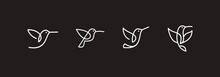 Abstract Humming Bird Vector Line Art, Colibri Wall Art Design, Minimal Bird Line Logo Icon Illustration Isolated On Black Background