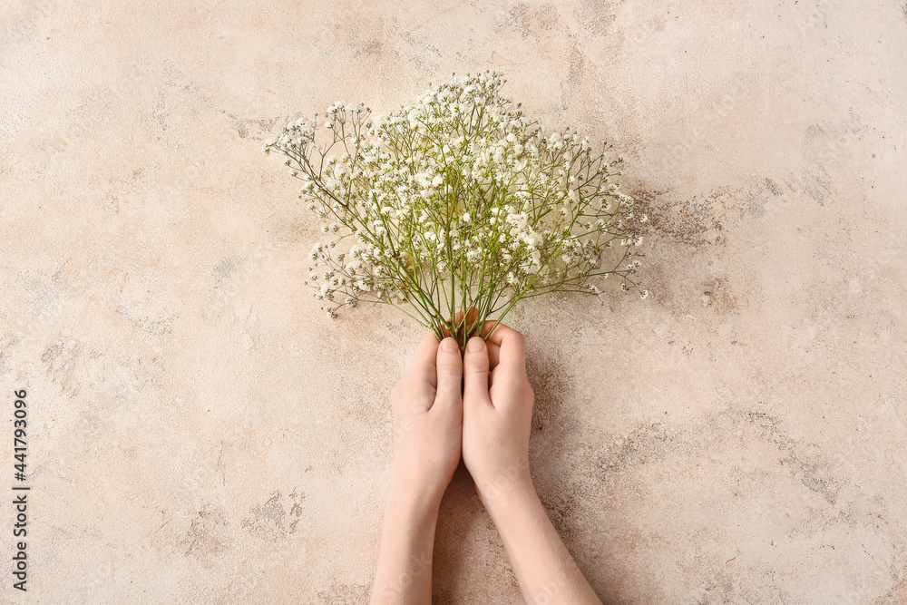 Female hands with beautiful gypsophila flowers on color background