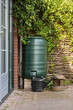 Green rain barrel and a watering can to collect rainwater and reusing it to water the paints and flowers in a backyard with a wattle fence made of willow branches on a sunny day