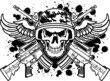 military skull vector image