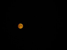 New Moon, Yellow Moon In Dark Sky