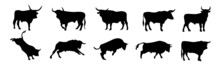 Set Of Silhouettes Of Different Bull Poses. Farm Animal. Vector Illustration. 