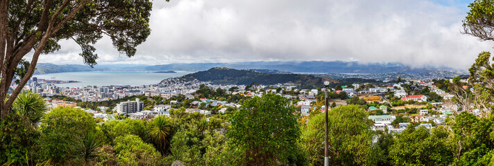 Wall Mural - Wellington city harbor, New Zealand