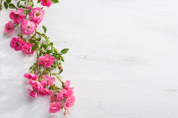 Sticker - Branch of  small pink Roses on a white  shabby wooden table. Flat lay. Selective focus.