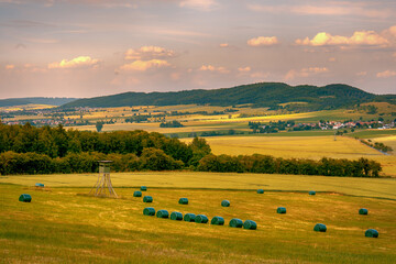 field after harvest under sunset