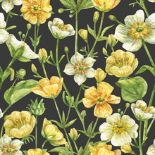 Floral Seamless Pattern With Yellow And White Buttercups And Green Leaves And Herbs. Hand-drawn Wildflowers. On A Black Background.