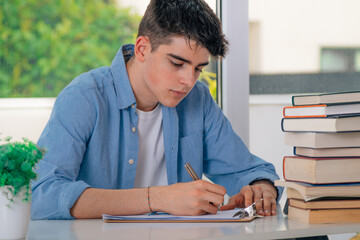 Wall Mural - teenager studying at the desk with books