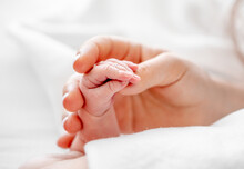 Mother Holding Newborn Baby Hand