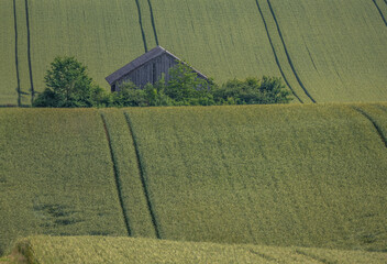 Poster - Ackerbau in Hügellandschaft