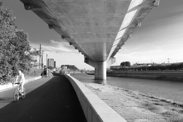 bridge in the city