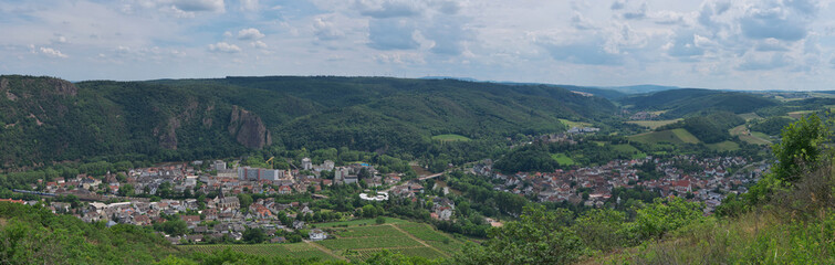  Rüdesheim from above