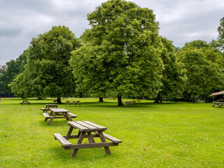 Wall Mural - Wooden picnic tables in a field in a park