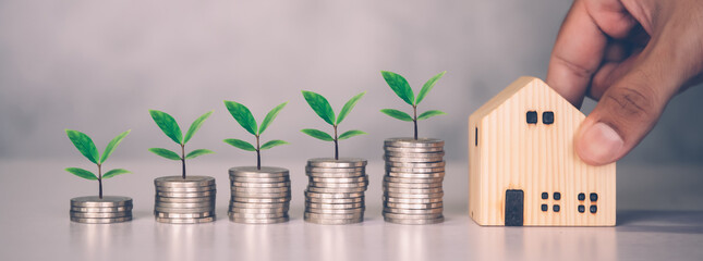 Stack of coin and tree with saving money for real estate and success, finance and investment with leaf, insurance home, deposit and property, residential and financial, business concept.