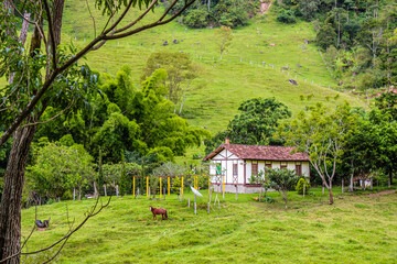 rural house in the mountains of rio de janeiro, brasil