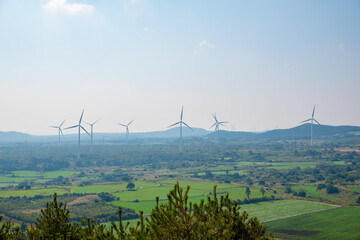 Wall Mural - wind turbines on a green field