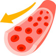 血管内を流れる血液のイメージ
