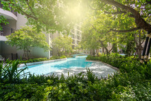 Swimming Pool In The Shady Garden And Sunlight Under The Trees In Apartment.