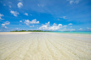 Wall Mural - Vast white sand beach, ocean and island in Kayangel state, Palau, Oceania