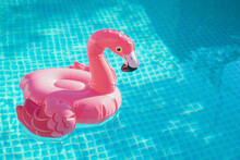 Inflatable Pink Flamingo In A Pool With Water. Summer Concept