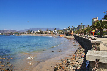 Wall Mural - The view on Papudo village, Pacific coast, Chile