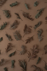 Wall Mural - Flat lay, top view. Floral pattern with juniper branches on brown background. Spring or summer concept. Floral background