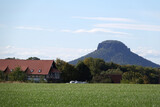 Fototapeta Konie - Landschaft bei Ostrau