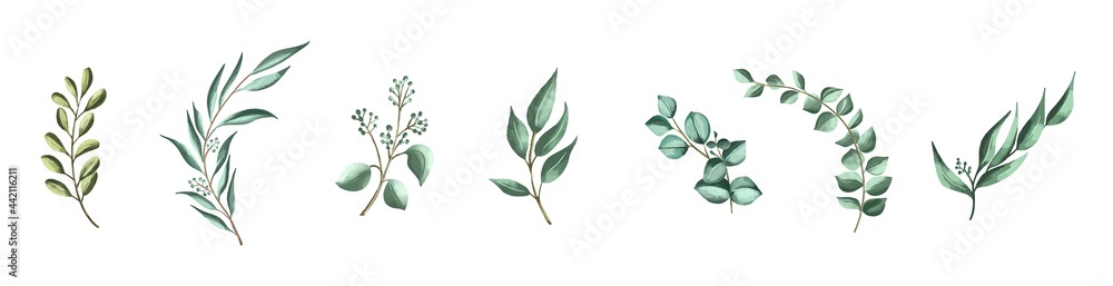 Vector set botanical elements - wildflowers, herbs and wild foliage - obrazy, fototapety, plakaty 