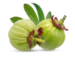 Garcinia atroviridis fruit isolated on white background