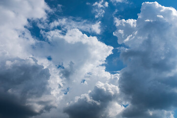 Canvas Print - white clouds in the blue sky in summer