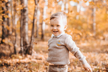 happy smiling boy in the Park with autumn leaves