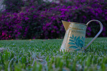 Jarrón De Regar Sobre Césped Verde Con Fondo De Flores Violetas . Vase Of Watering On Green Lawn With Violet Flowers Background
