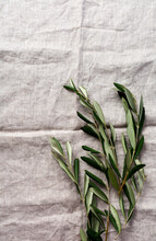 Bouquet Of Fresh Olive Tree Branches On An Old Vintage Gray Napkin Tablecloth Table Background. Natural Product Concept. Top View