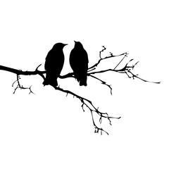 two birds in love. vector illustration