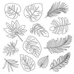 Wall Mural - Set of contour tropical leaves.